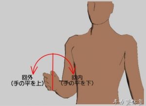 橈尺関節と肘の関係